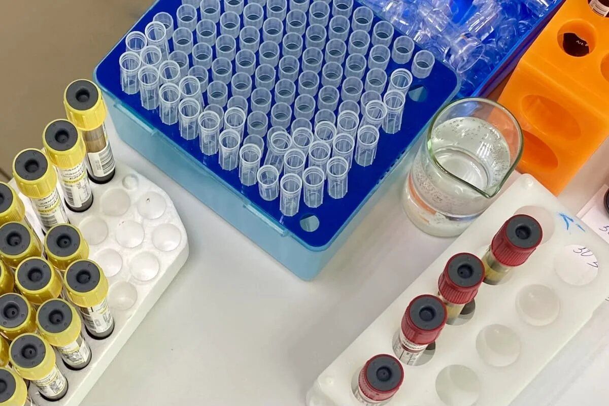 ������ �������� ������ ����� ����� �������� ��������� �� ������ ����