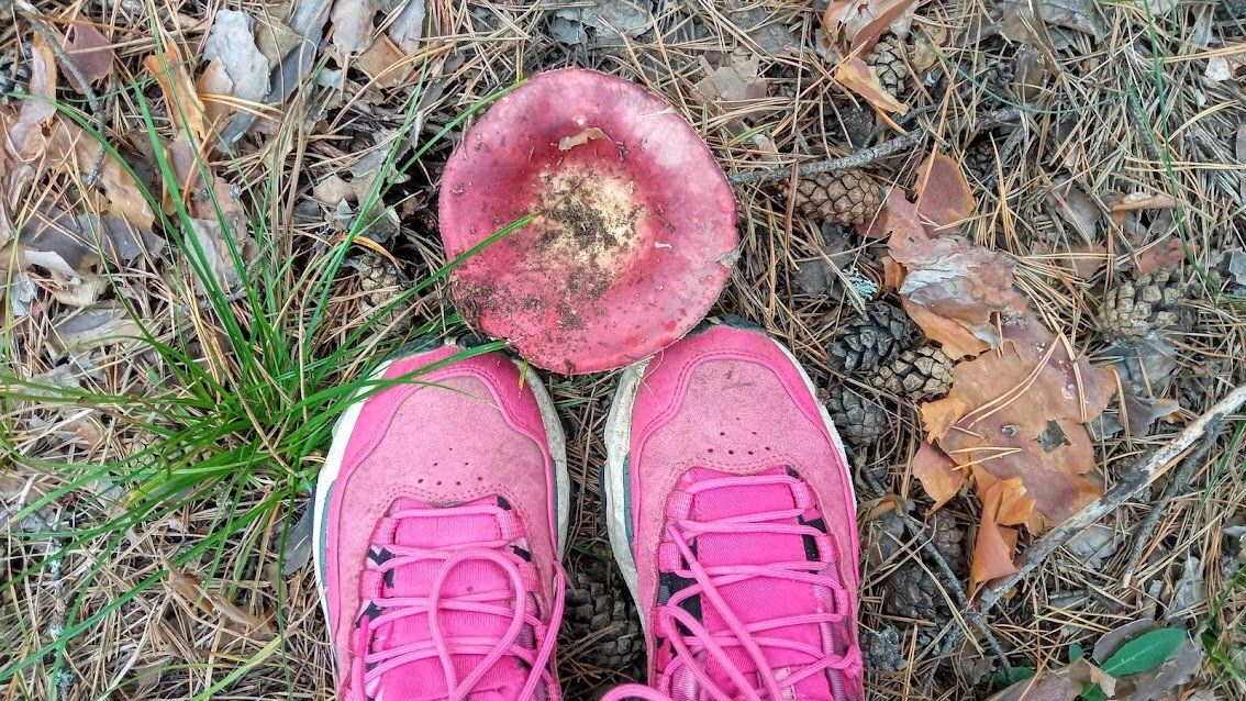 ������� �������: ��� ������������ �������� �� �����