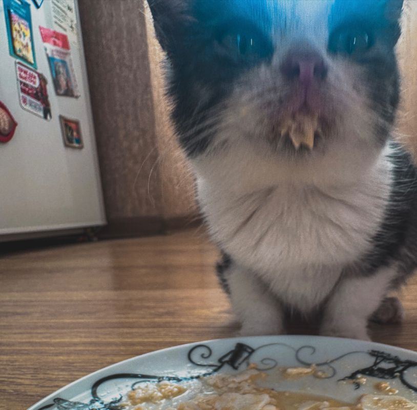 ��������. ��������