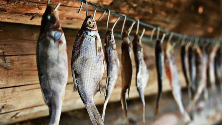 Пять лучших речных рыб для вяления: секреты настоящего вкуса