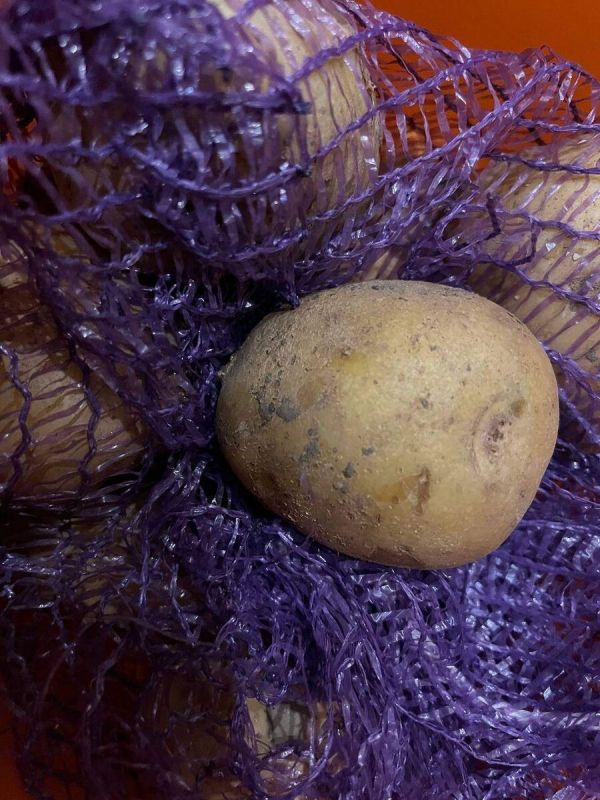 ��� �������� ��������� �� ����� �����: ������������ ��� ��������