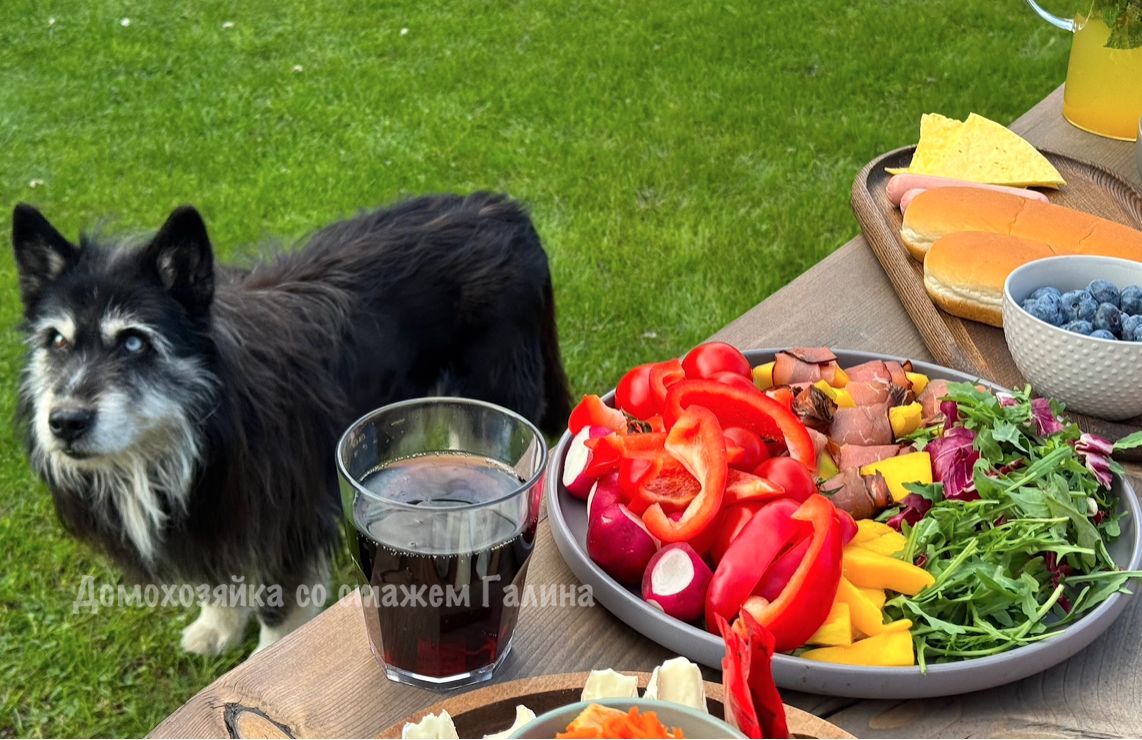 Как найти гармонию между работой и отдыхом на даче