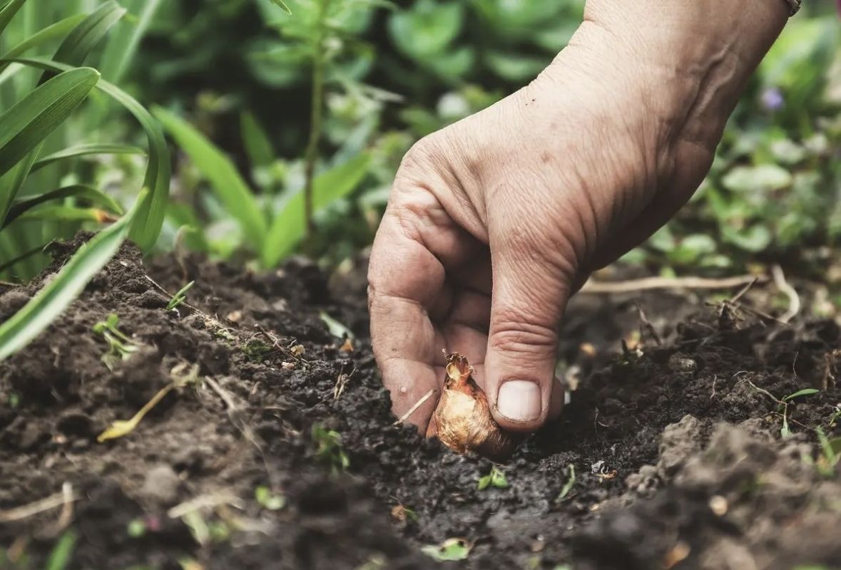 ��������: ����� ����� ������� ��� ������ ���� � �������