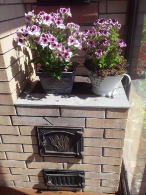 ������ �����������: ��� ���������� ��� ���� �� �������