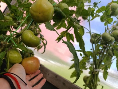 ��� ��������� ������� �������� �� ������ ������: ������� ������