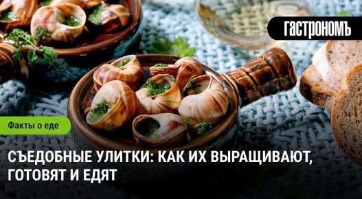 Съедобные улитки: искусство их выращивания и кулинарного приготовления