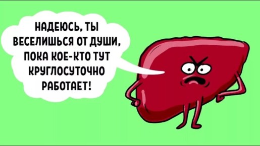 Сигналы о перегрузке печени: в чем проблема?