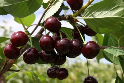 ���: ��������� ����� ������ � ��������