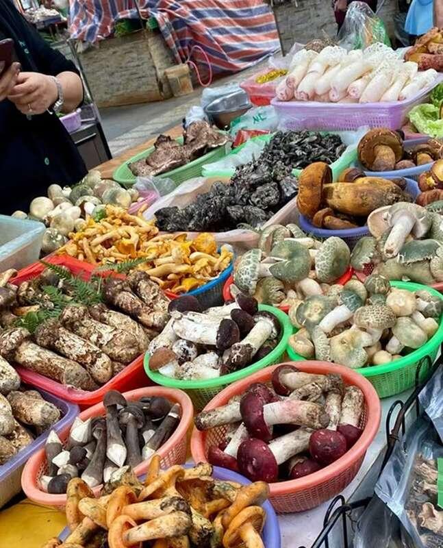 Гриб веселка: загадочный аромат и его использование в кулинарии