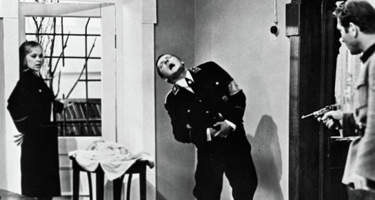 Правильное укрытие роз: когда и как подготовить любимые цветы к зиме