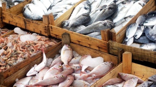 �������� �� ����: ��� ��� ����� ������� ����������� ���� � ������