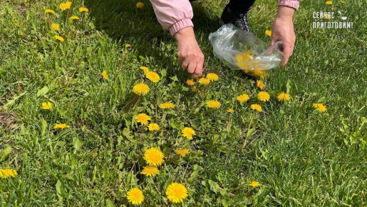 Одуванчики как зимний чай: тихий рецепт и ощутимый комфорт