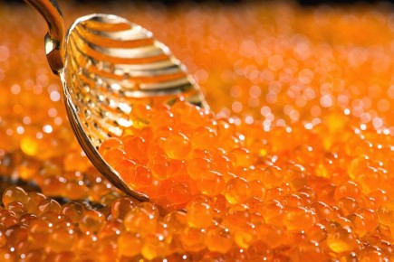 Как выбрать идеальную красную икру для новогоднего праздника