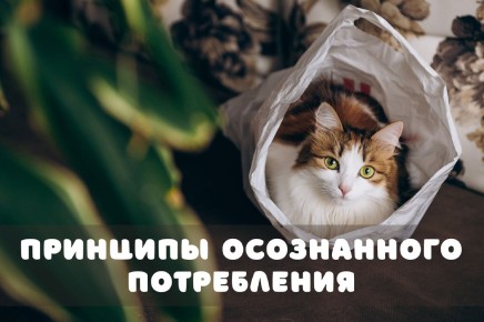 ��� ������������ ���������� ������������: ������ ��� �������