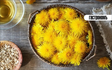 Одуванчики: не только сорняк, но и раскрывшаяся кулинарная тайна