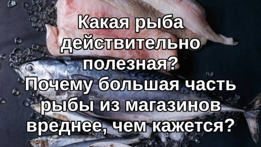 Почему морская рыба лучше, чем речная: Разбираемся в полезности