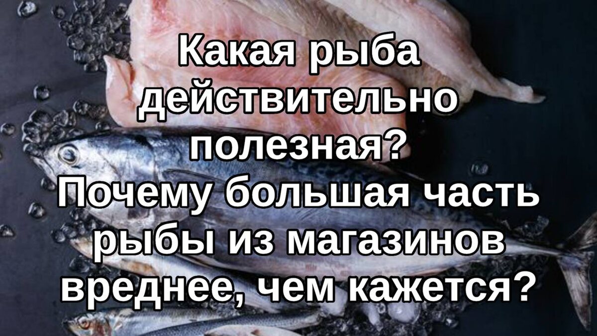 Почему морская рыба лучше, чем речная: Разбираемся в полезности