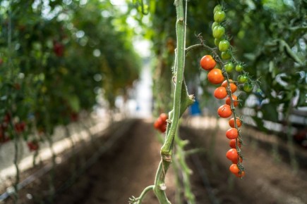 ����� ����� ��������� ������������������ �������