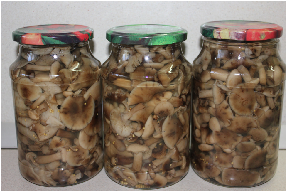 Как замариновать грибы на зиму: секреты и советы