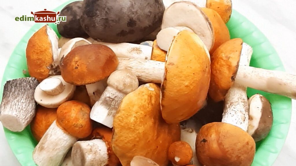 Замороженные грибы: как сохранить на зиму и удивить вкусными блюдами