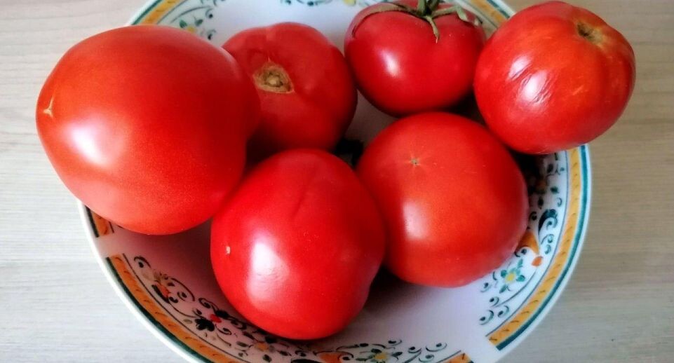 Зимние помидоры: что скрывается за их пользой и дешевизной?