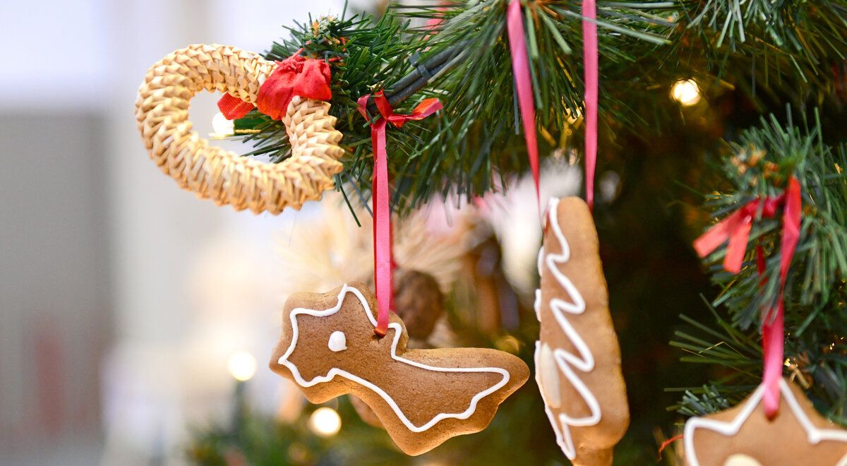 Как возникла традиция украшать елку едой и как сделать это своими руками