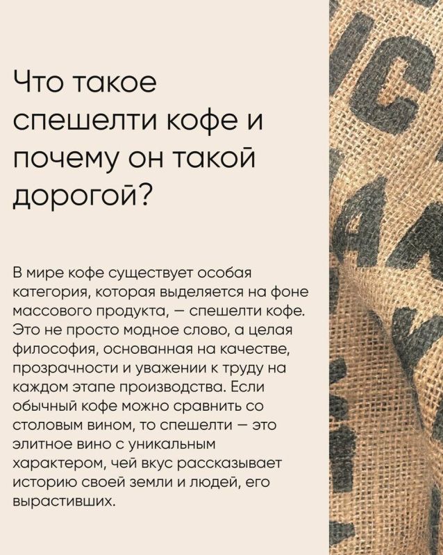 Кофейный шедевр: почему чашка спешелти кофе стоит своих денег