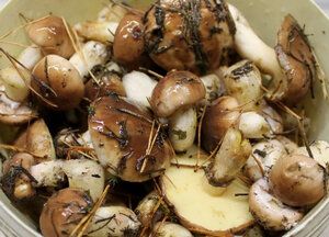 Непревзойденный способ замариновать маслята для идеальной закуски