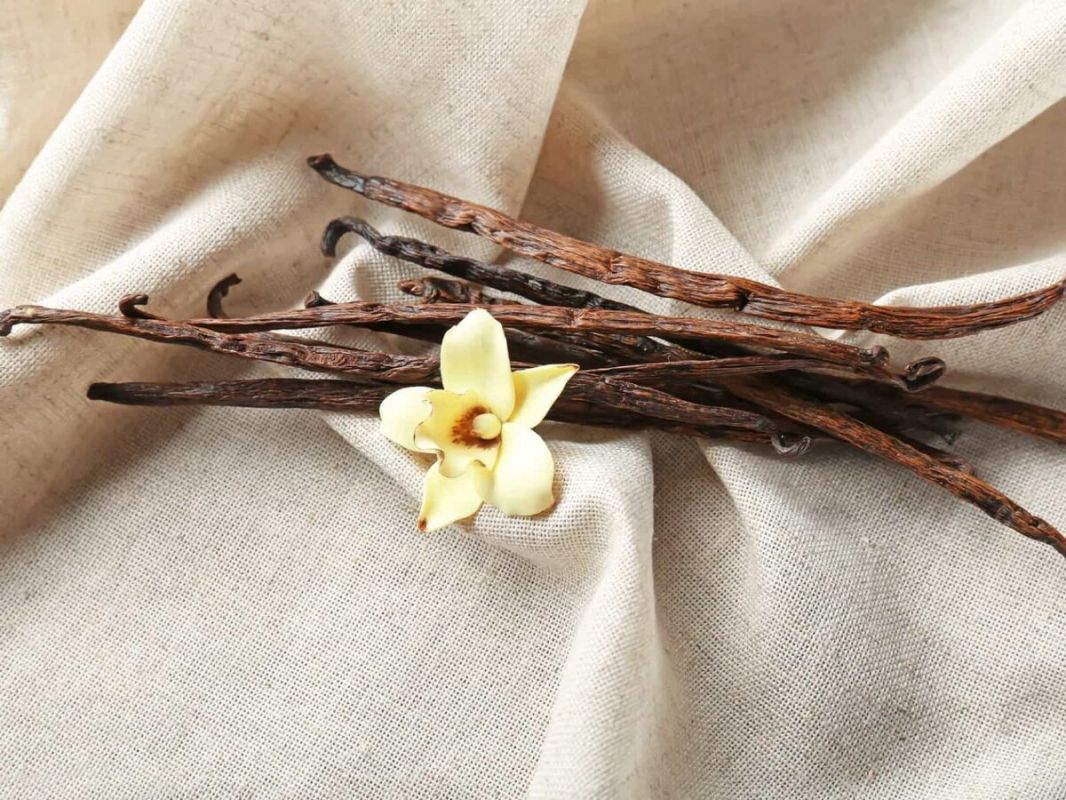 ������: ������� ��������� ������ � ����� �� ����������� ����������