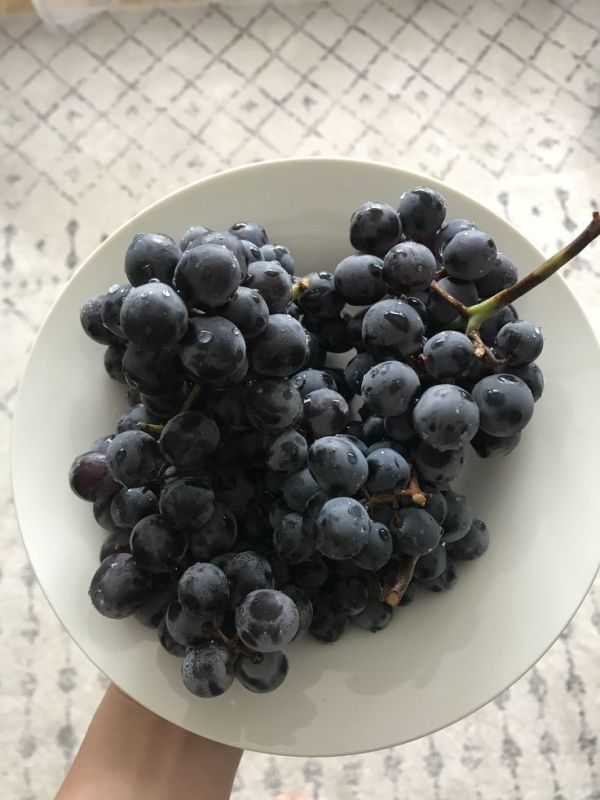 ��� ������ � ���� ����� �������� �� ���� ������