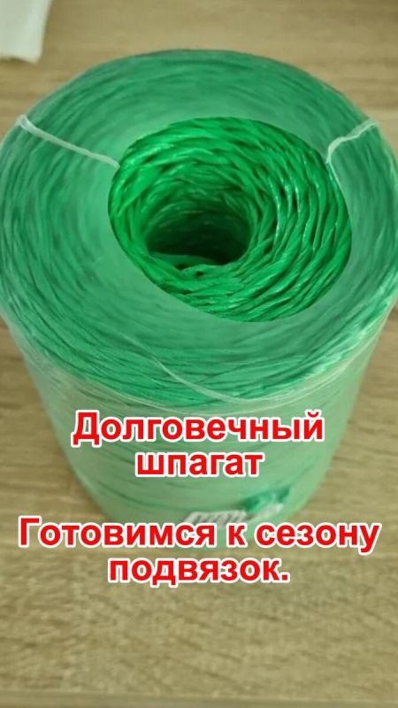 ��� ��������� ��������� ������ � �����: ����������� ������