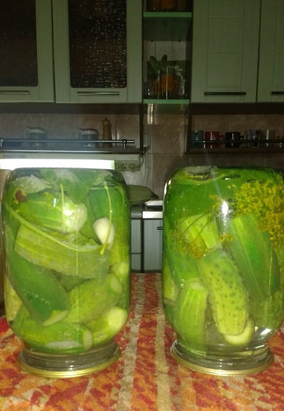 ������������� ��������� ������������ ��������� �� ��������� ������