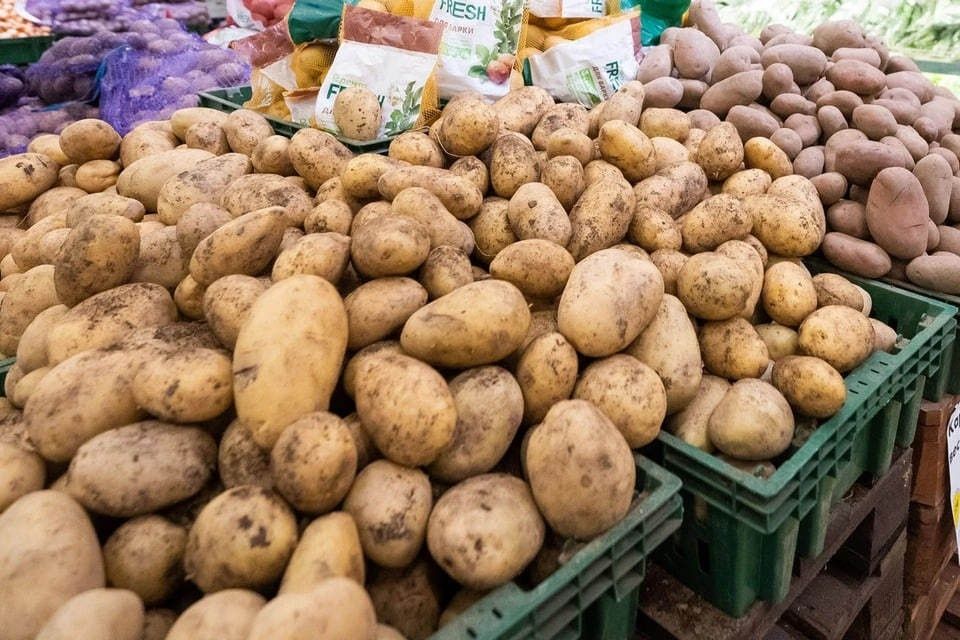 ��� ������ � ������� �������� ��������� �� ������ ���������