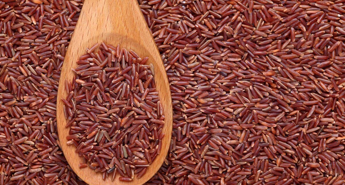 ��� ��������� �������� ����� ���: ������ ����