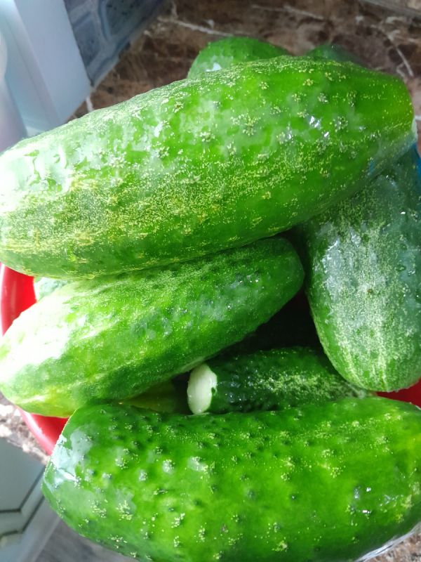 ��� ��������� ������ ��������� ������� �� ����