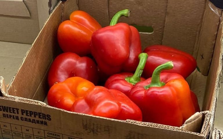 Секреты долгого хранения болгарского перца до Нового года