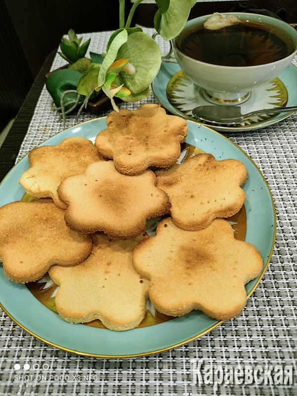 ������ �������� ������� � ��������: ������� ������