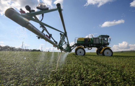 Снижение цен на гречку: эксперты уверены в стабильности рынка