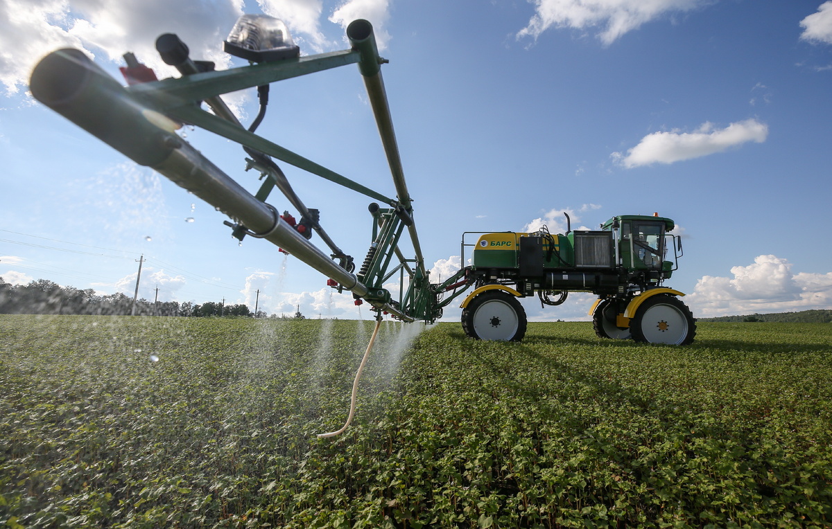 Снижение цен на гречку: эксперты уверены в стабильности рынка