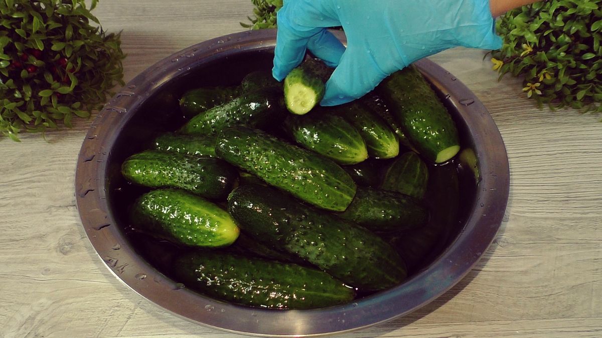 Как сохранить летние огурцы на зиму: простой рецепт маринованных огурцов