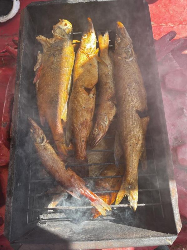 ��� ������ � ������ ����������� ����� �������� ��������