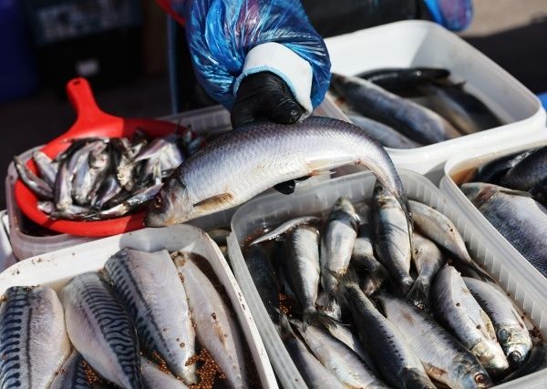 Эксперт подсказал, когда стоит отказаться от консервированной селедки