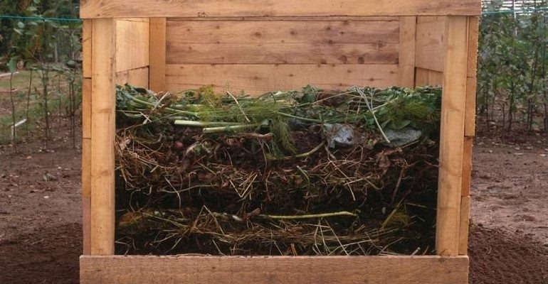 Компостирование: секреты создания и поддержки компостной кучи