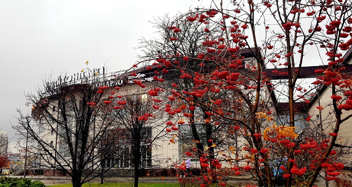 �������: ������ ���� � ����������� ����