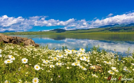 ���������� �������������: ��� �� ����� ��� ��������� � ��������� �������