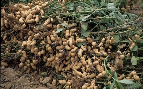 ������: �������� ��� �������? ����������� � �����