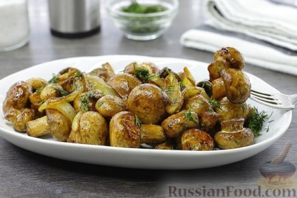 ������� � ��������� �����: ������� ������� ��� �������