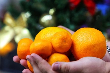 ��������� ��� ���������: ����� ����� �������� ��� ��������?