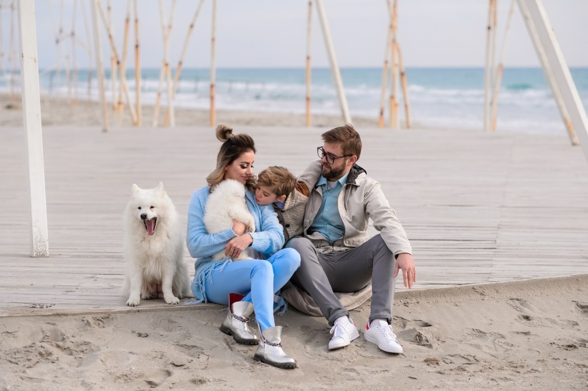 Как правильно подготовиться к домашнему питомцу из приюта