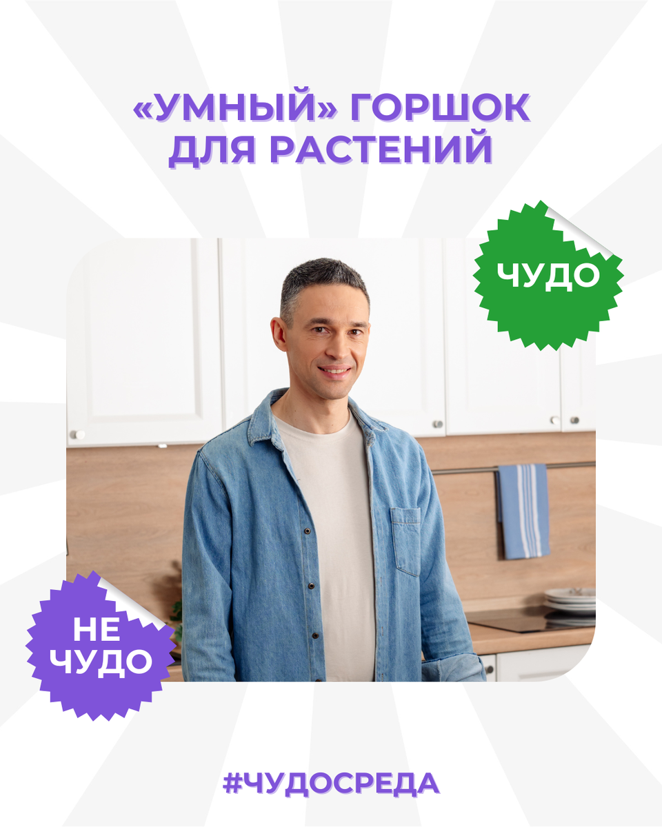 Умный горшок для растений: мечта садовода или разочарование?